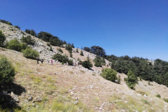 67602768_2274904475898283_3964531066504478720_n