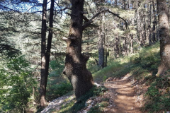 67621313_2274885325900198_3504136406601564160_n