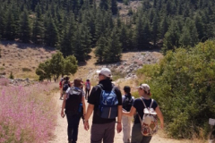 67669495_2274885719233492_3554869556734328832_n