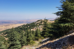 67700553_2274884515900279_5021395520162103296_n