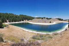 67702974_2274884575900273_8183495355673870336_n