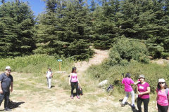 67704675_2274905395898191_3094725460928495616_n