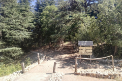 67713935_2274904059231658_546678405395906560_n