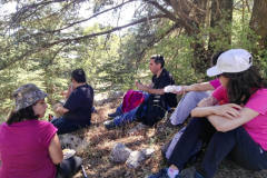 67729515_2274905042564893_4380519780361175040_n