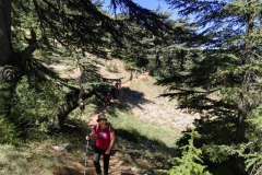 67732498_2274904365898294_7270389650756206592_n