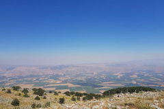 67734306_2274884202566977_8733245203852296192_n