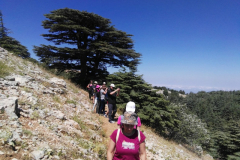 67738816_2274904972564900_7233228511379456000_n