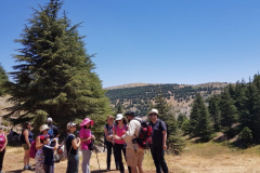 67753750_2274885269233537_957657267535085568_n