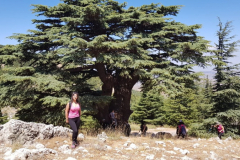 67825083_2274886122566785_2407482748848570368_n