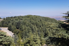 67888254_2274883519233712_1747857531180417024_n