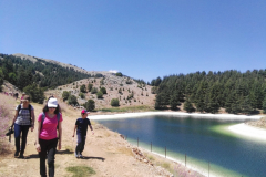 67916581_2274903515898379_7605099527330070528_n