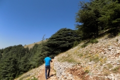 DSCN0030
