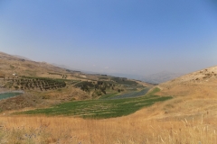 DSCN0043