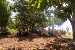 DSCN0053