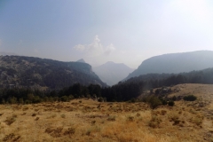 DSCN0080