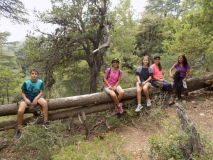 Arz Ehden 28-08-2016