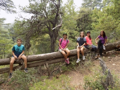 Arz Ehden 28-08-2016