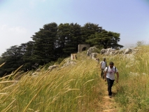 Arz Jej Hike 5-27-2018