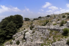 DSCN0027