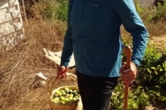 40049785_1790922700963132_7422213416070152192_n