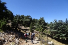 40089036_1790922834296452_4509189394162253824_n