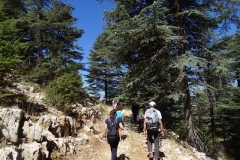 40122667_1790926660962736_8465191583329812480_n