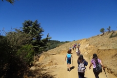 40129680_1790921020963300_2152982176801488896_n