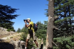 40143987_1790921290963273_8375548035245015040_n