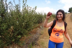 40159412_1790927614295974_7301217276739452928_n