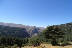 40162382_1790919584296777_5153464239800713216_n