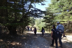 40164172_1790925794296156_8447159931936702464_n