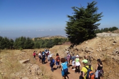 40167818_1790923520963050_6065317553729699840_n