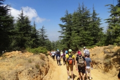 40172366_1790925357629533_3659540606977310720_n