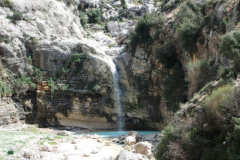 DSCF0739