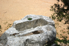 DSCF0748