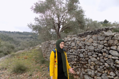 DSCN0093