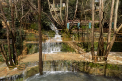 DSCN0100