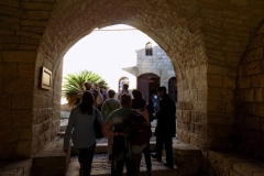 DSCN0015