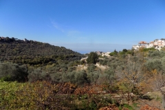 DSCN0034
