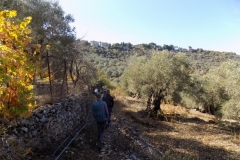 DSCN0036