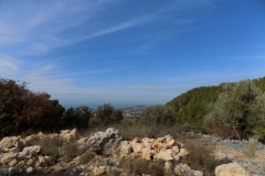 DSCN0068