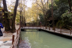 DSCN0073