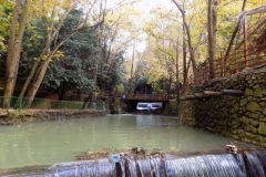 DSCN0079