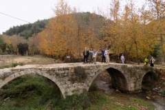 DSCN0082