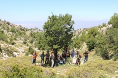 IMG_0961 (Medium)