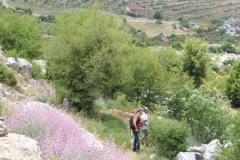 IMG_1015 (Medium)