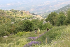 IMG_1025 (Medium)