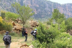 IMG_1032 (Medium)