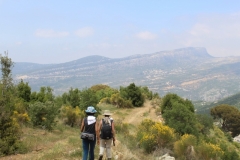 IMG_1040 (Medium)