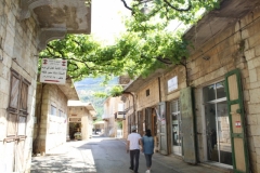 IMG_1061 (Medium)